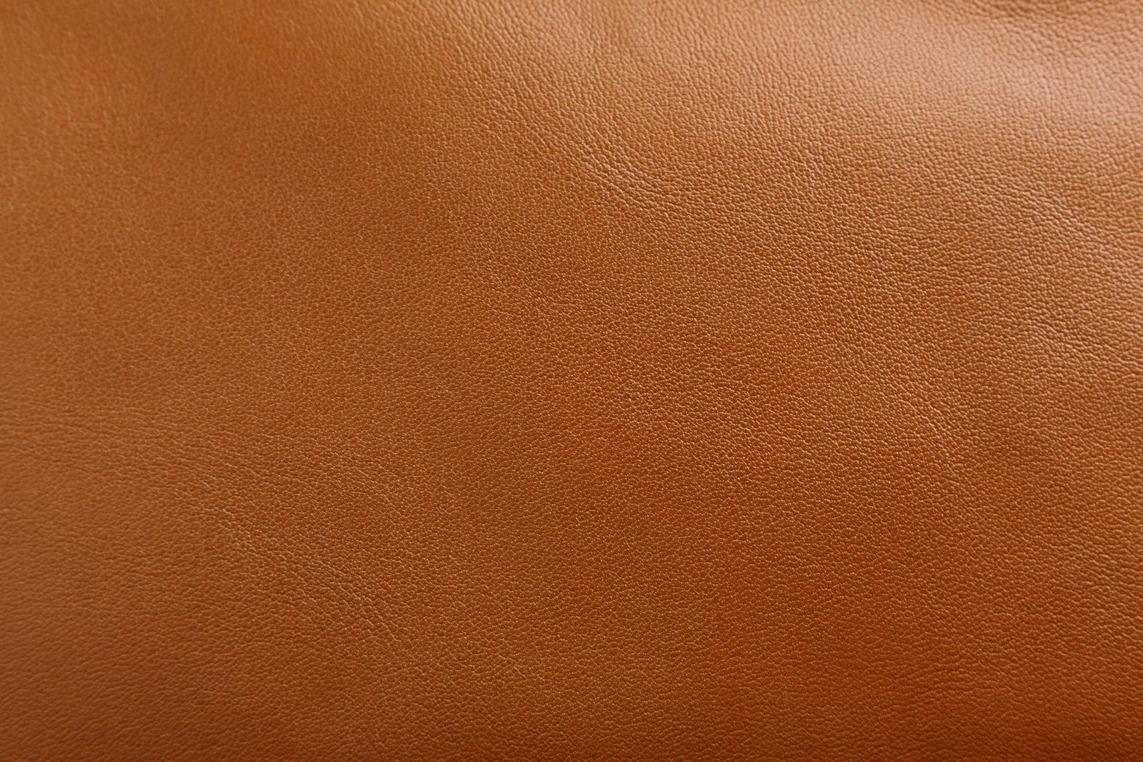 Macro detail of uncorrected full-grain calfskin used for Barkin cases