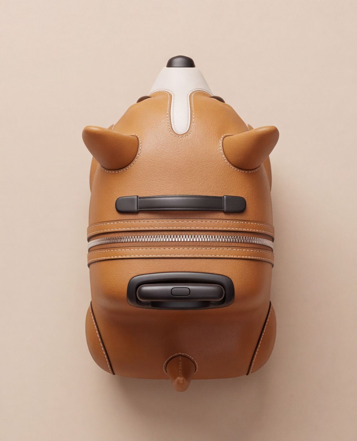 Sultan, the corgi cabin case photographed from above